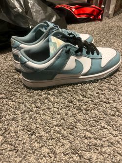 Dunks size 9 men’s