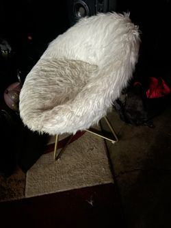 Furry Chair
