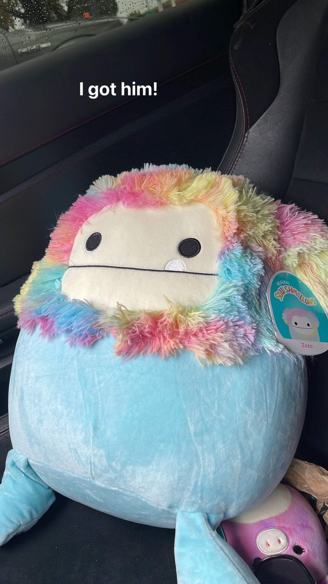 Squishmallow ZoZo