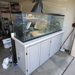 135 Gal Fish Tank