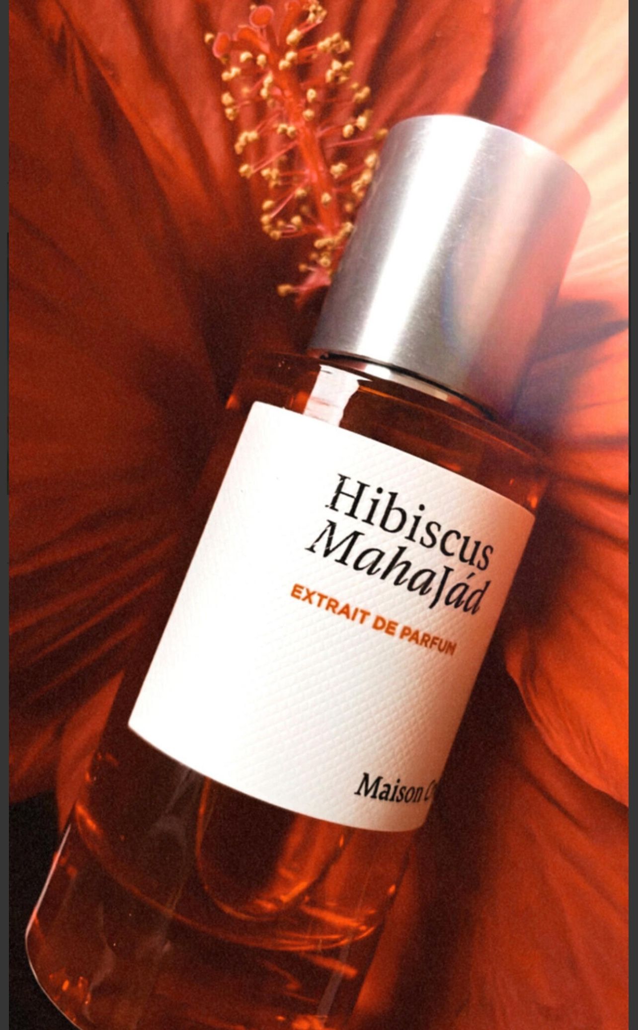 Hibiscus Mahajád Maison Crivelli