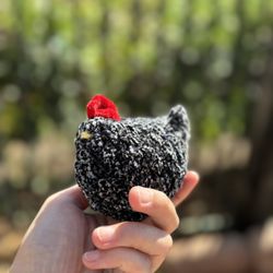 Black Speckled Baby Chicken 🐓 $9
