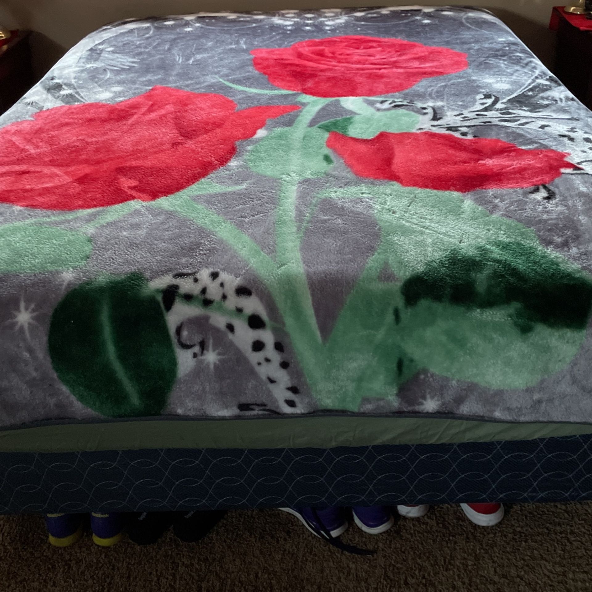 Nice Blanket Queen Size 20,00