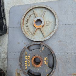 Olympic Plates 25 Lbs Pair