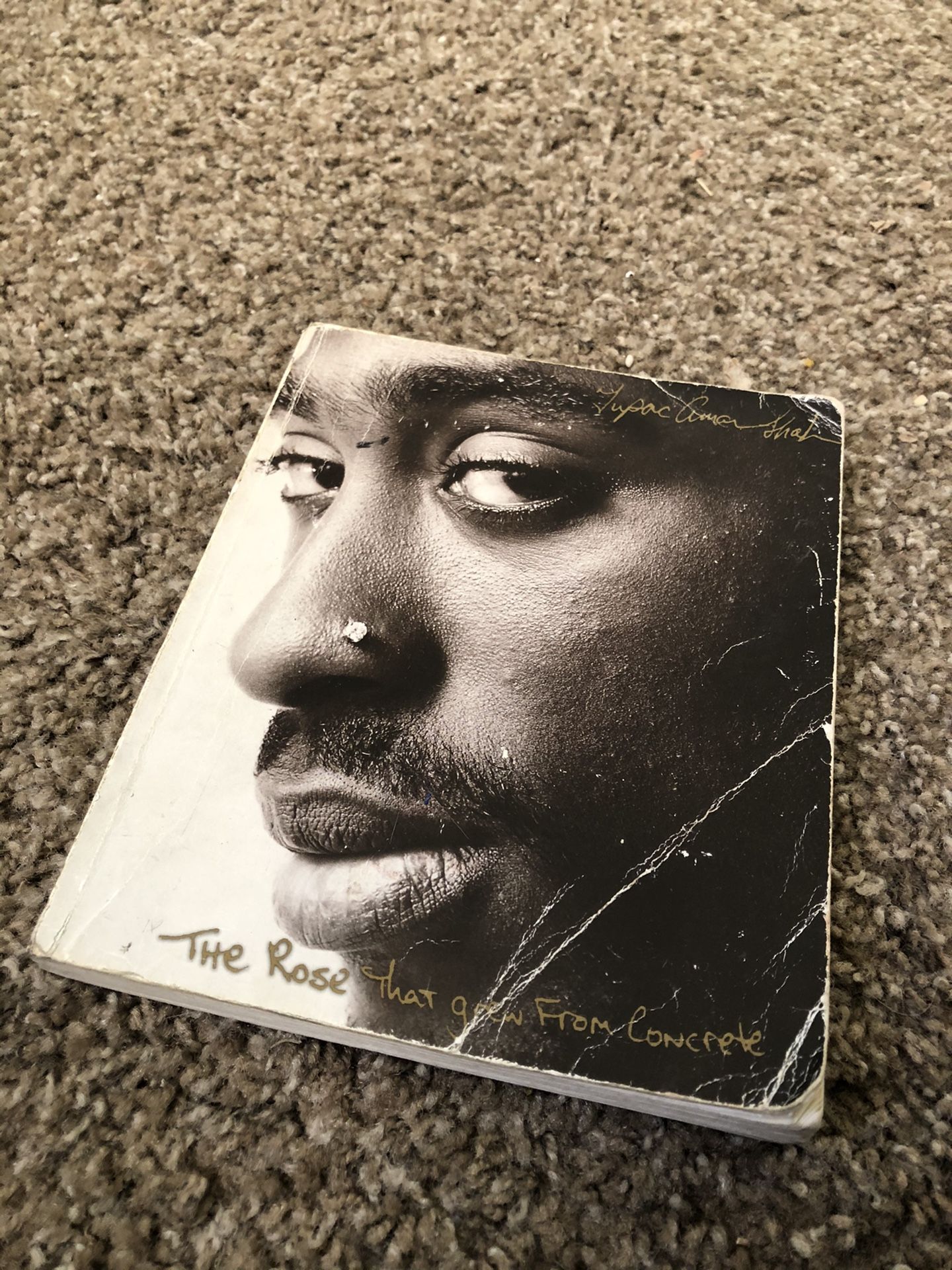 Tupac Rose That Grew From The Concrete poetry book