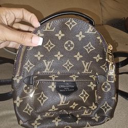 Louis Vuitton Mini backpack -$500, Laptop bag -$35 for Sale in