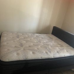 Queen Bed And Bed Frame 