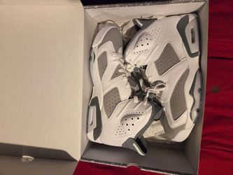 Jordan 6s cool grey