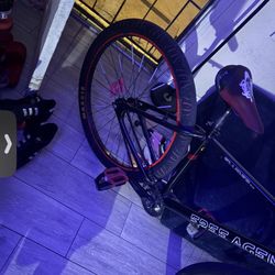Maxxed Out Bike 