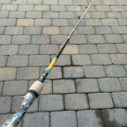 Profishiency Fishing Rod 
