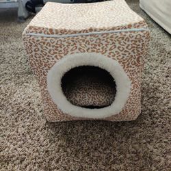 Cat House 