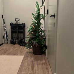 Fake Plant 