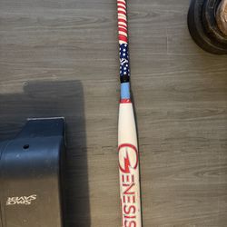 Slow pitch bat