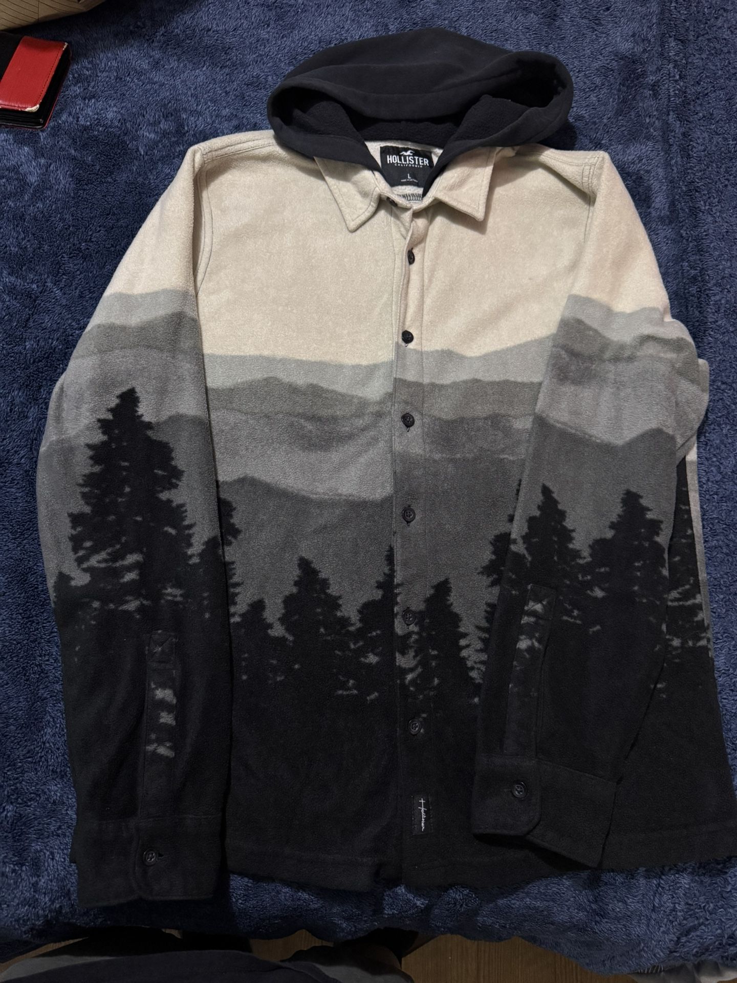 hollister sweatshirt