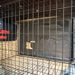 Jaula Para Perros   Me Urge Que Se. Aya 