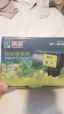 Fish feeder with timer