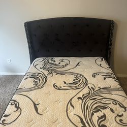 Black Velvet Bed Frame With Queen Box Spring &mattress