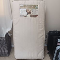 Older Baby Mattress