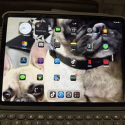 iPad Pro 11 Inches 2nd Generation 