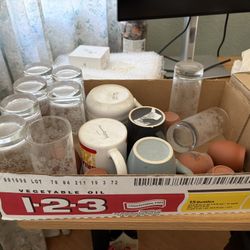 Cups and shot glasses