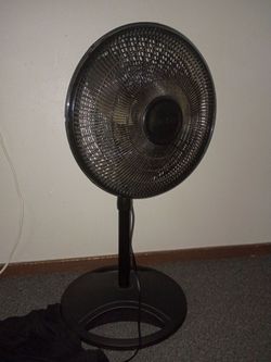 Fan