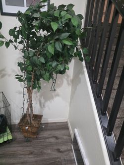 FREE DECORATION TREE