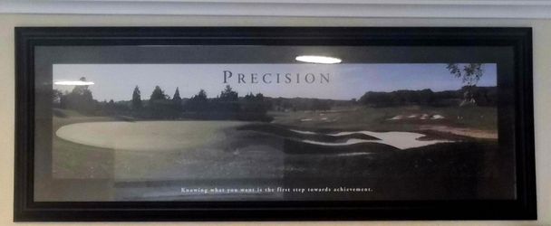 Rooms To Go Framed Golf “PRECISION” Wall Art