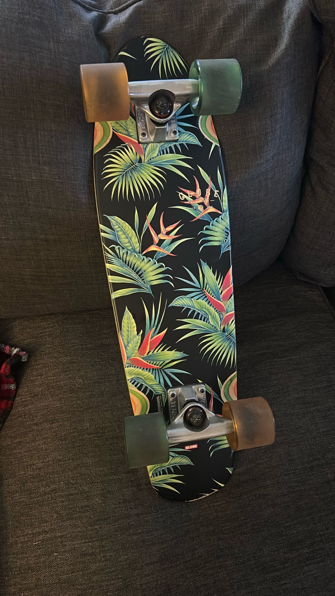 Globe Short Board