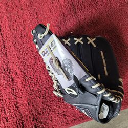 Dudley Softball/Baseball Glove