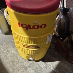 Igloo 5-gal
