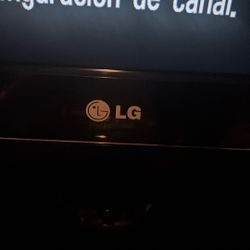 45”x29” LG Tv 