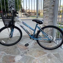 21 Speed Bike