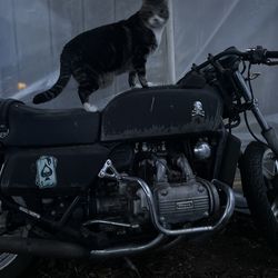 1979 Honda Goldwing Parts or Project