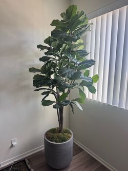 Fake plant
