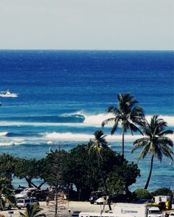 Surfing film prints professionally printed