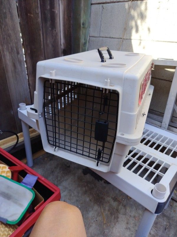 Pet Carrier Medium Size