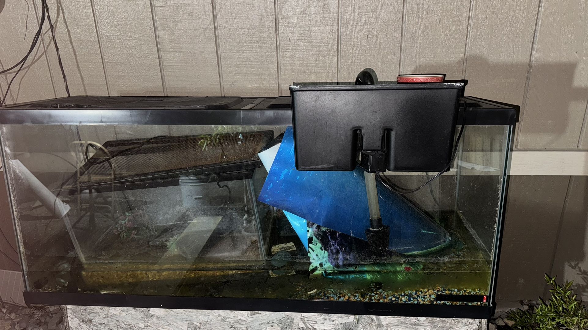 Two Fish Tanks