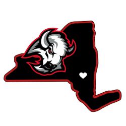 Buffalo Sabres Magnet ~ Sabres Merch ~ NHL 5 Inch Magnet 