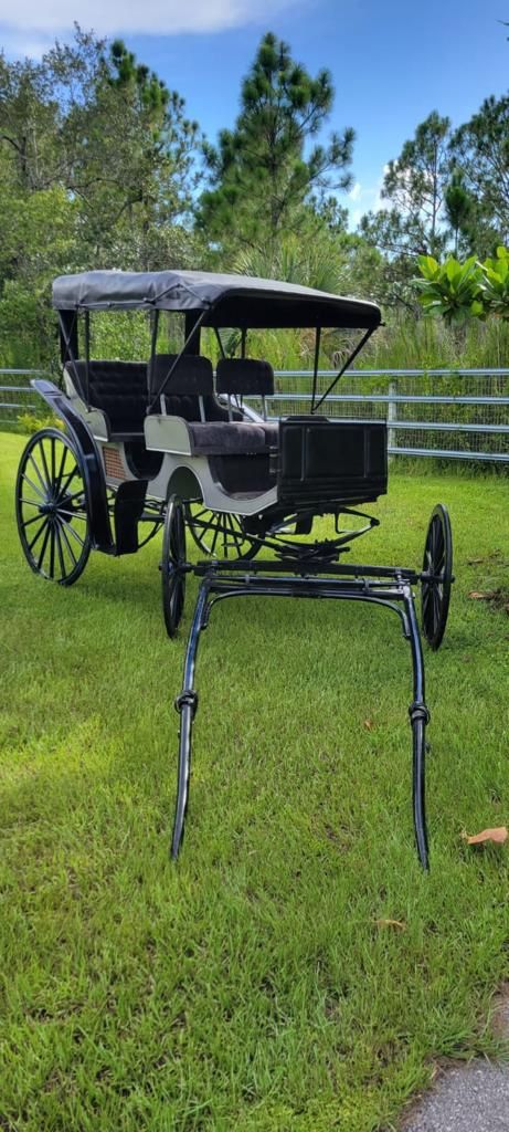 Horse Carriage ( Carruaje Para Caballo 🐴 )
