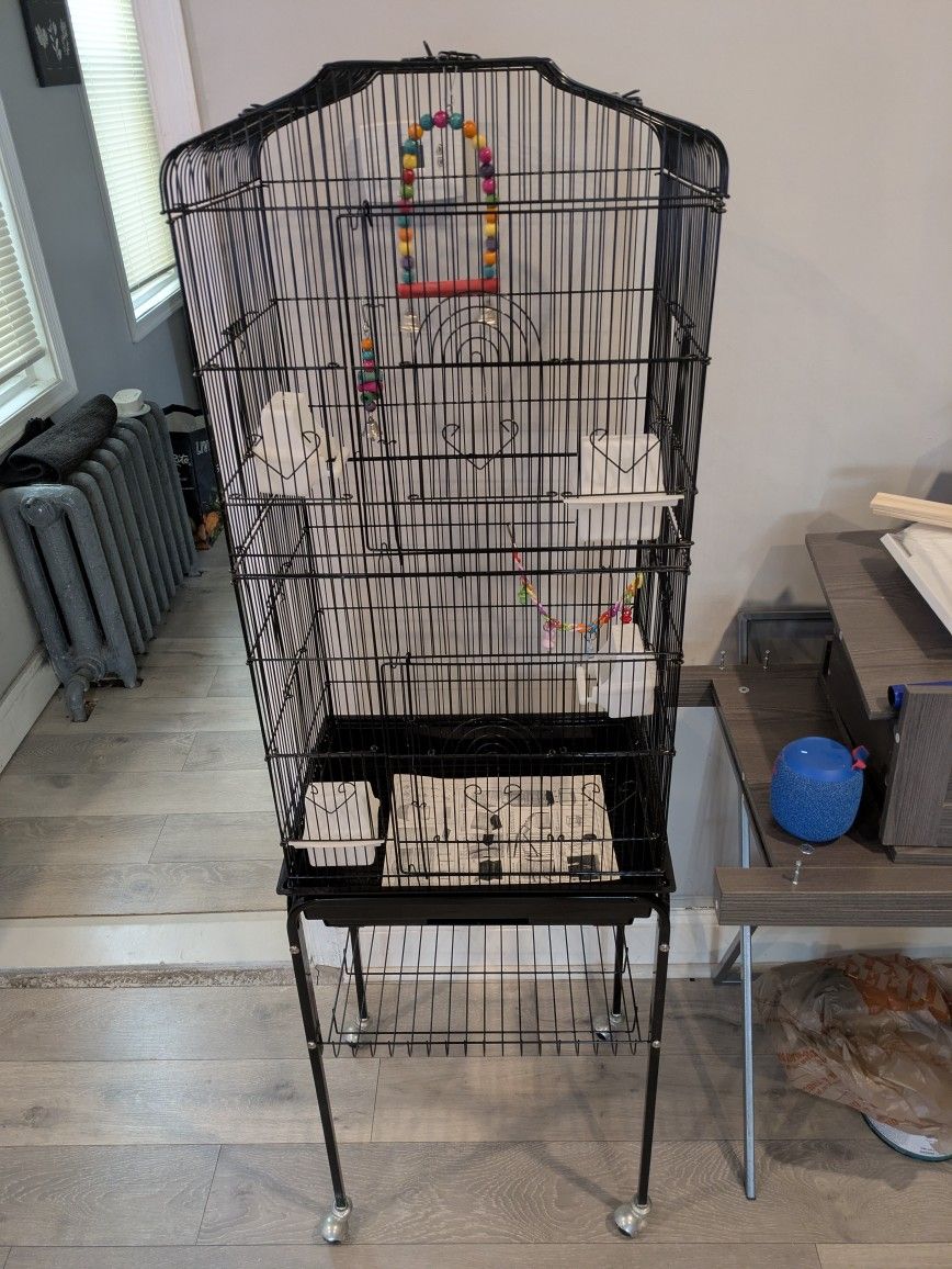 Bird Cage 64"