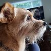 Doug