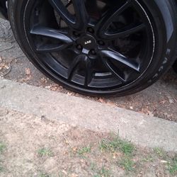 19 " Rims 