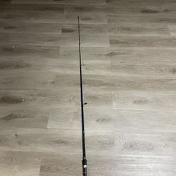 fin chaser x fishing rod