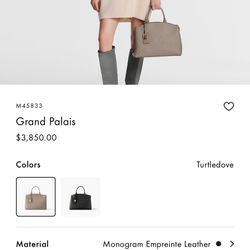 LOUIS VUITTON Handbag  M45833 Grand Palais MM Monogram Ann Platt