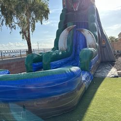 22Ft Jurassic Waterslide/ Dryslide for Sale