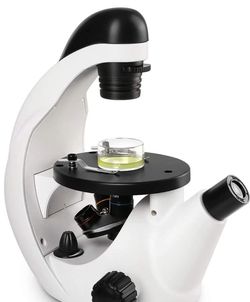 New Telmu Inverted Microscope