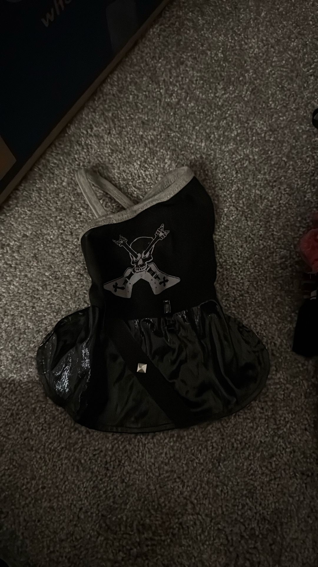 Brett Michaels Skull Dress For Dogs