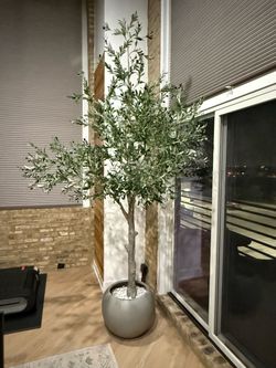 Artificial Olive Tree and Planter - 10’ tall