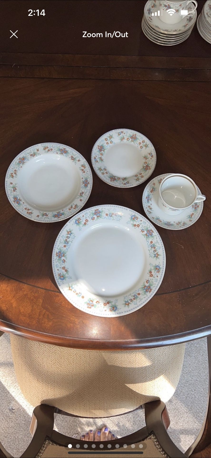 Poland China Dinner Plates Jarolina China Set