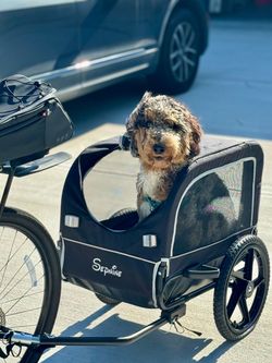 Dog Bike Trailer